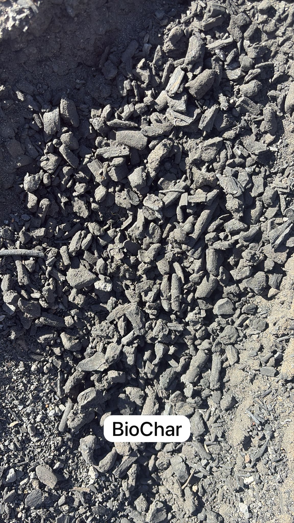 BioChar