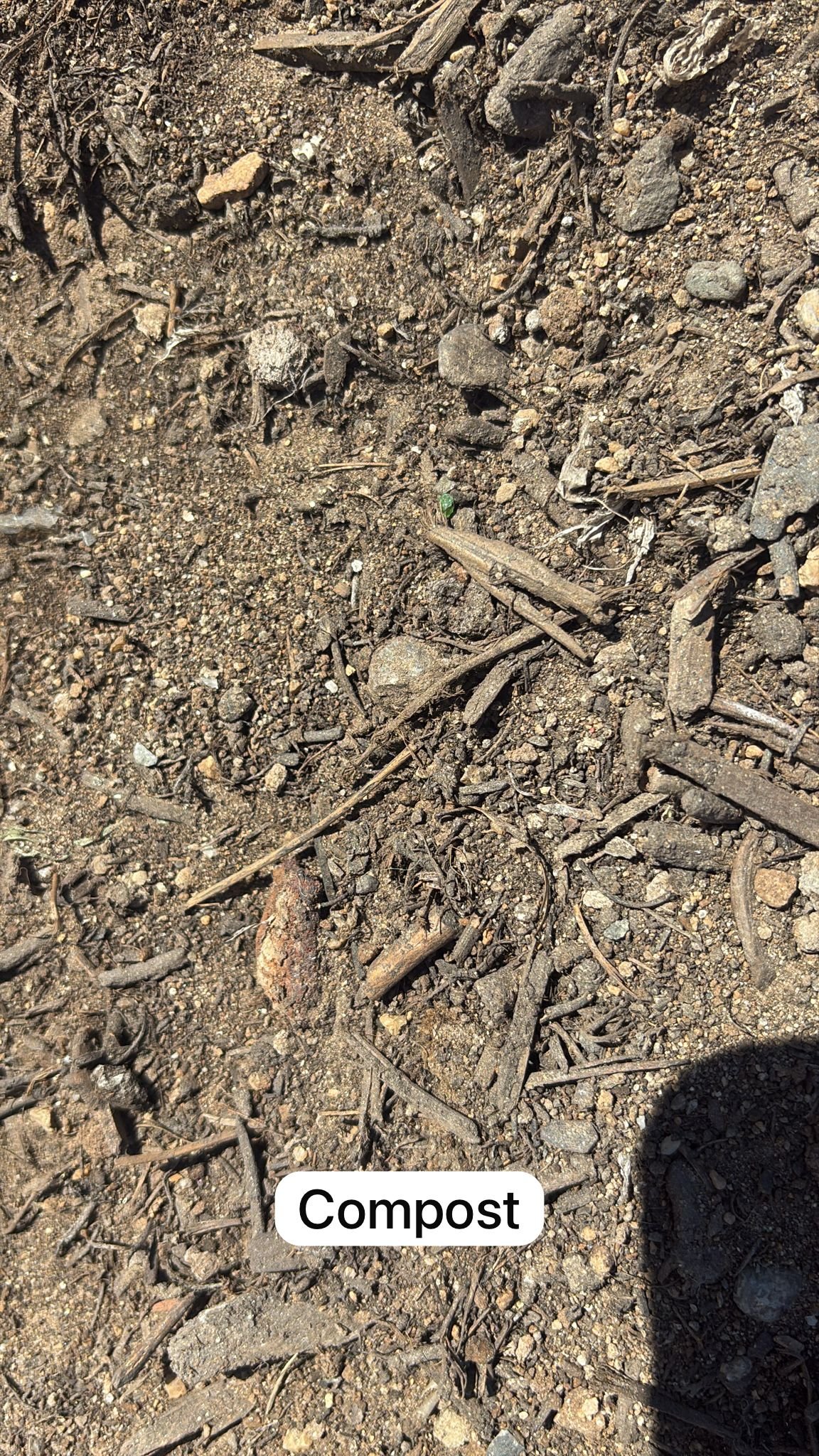 Compost
