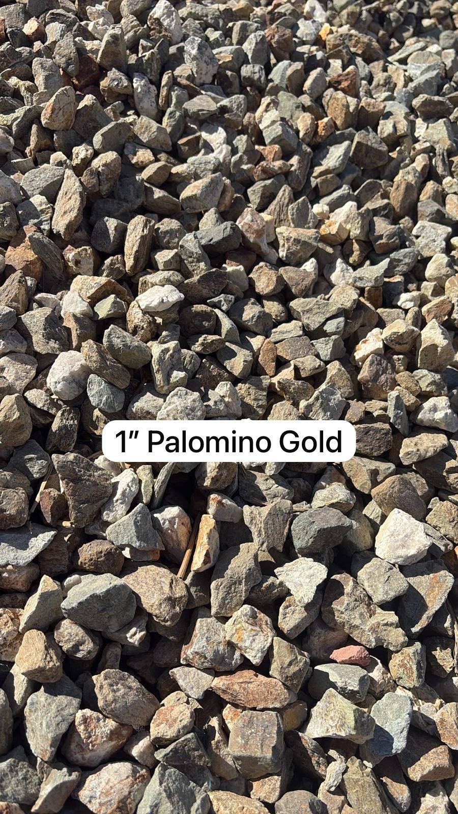 Palomino Gold 1"