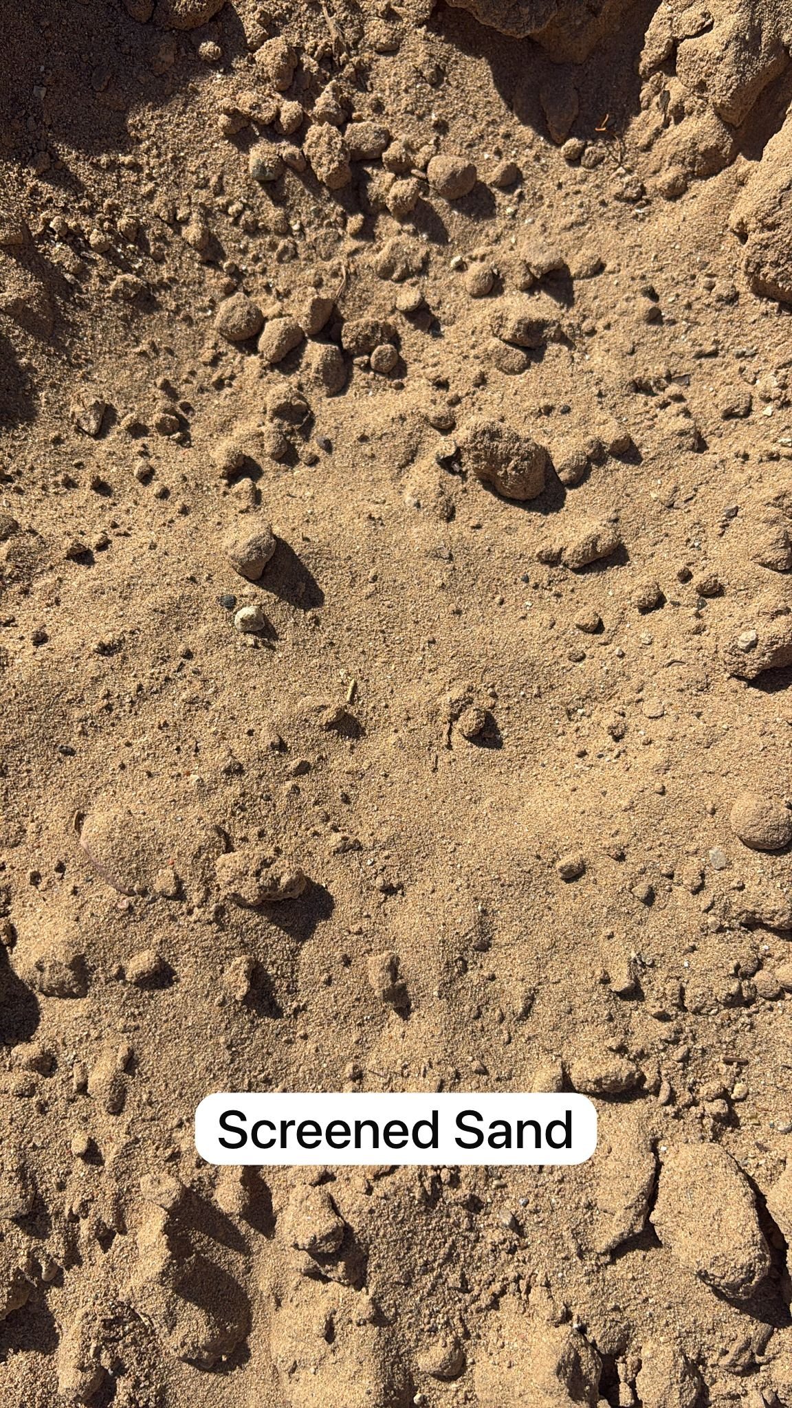 Screened Sand