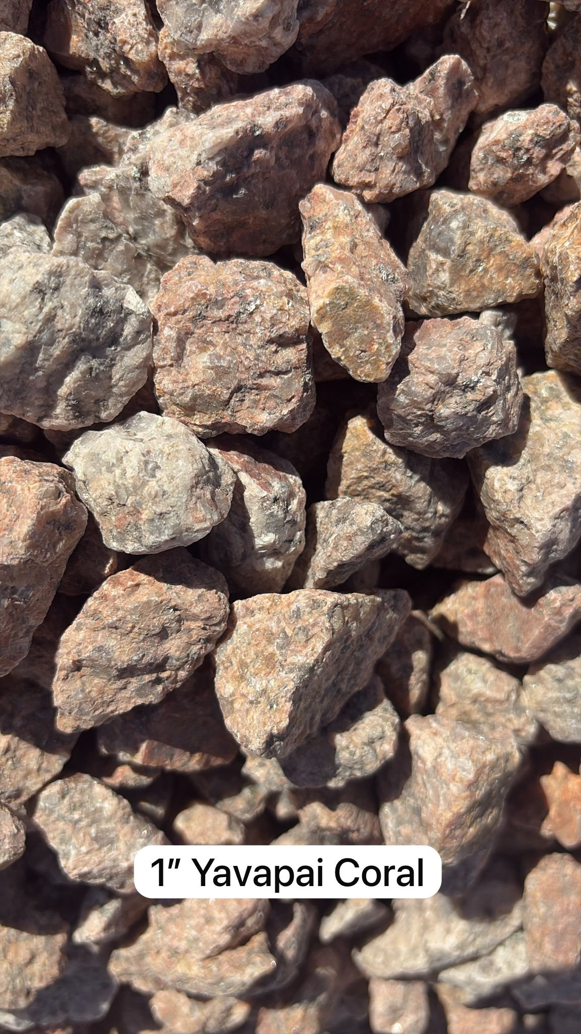 Yavapai Coral 1"