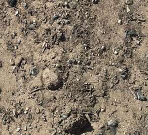 BioChar MANURE MIX Soil