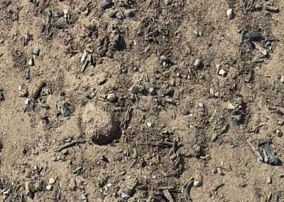 BioChar MANURE MIX Soil