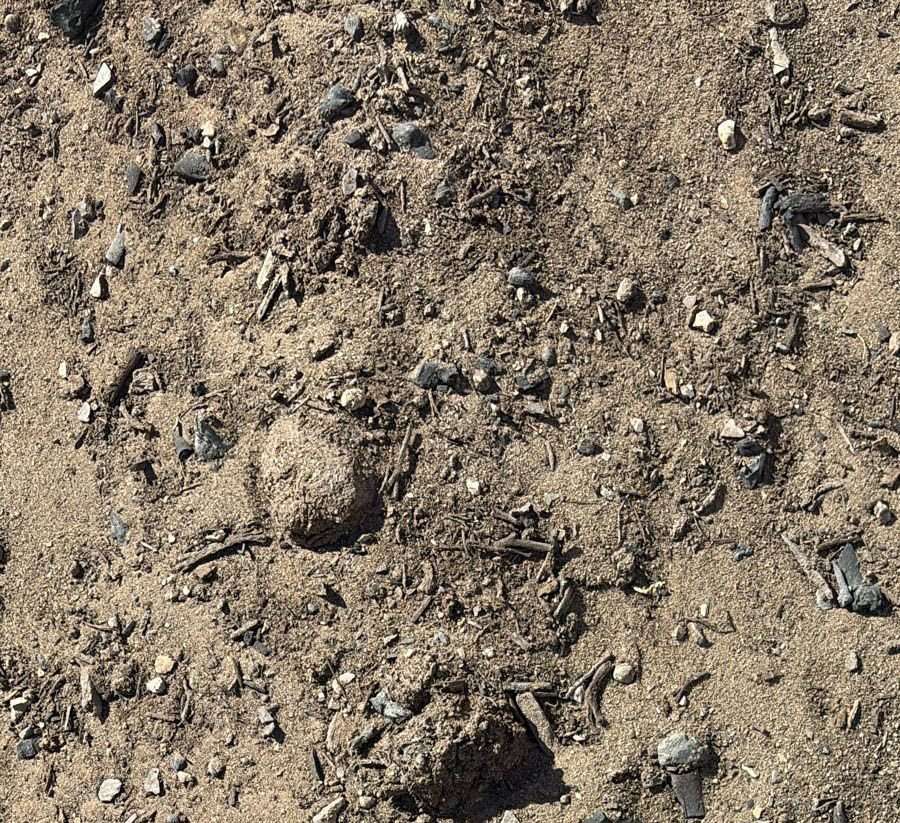 BioChar MANURE MIX Soil BioChar MANURE MIX Soil