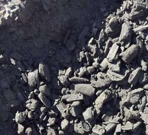 BioChar Soil Amendmant