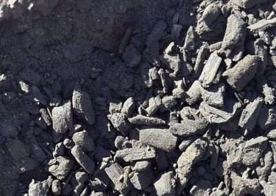 BioChar Soil Amendmant