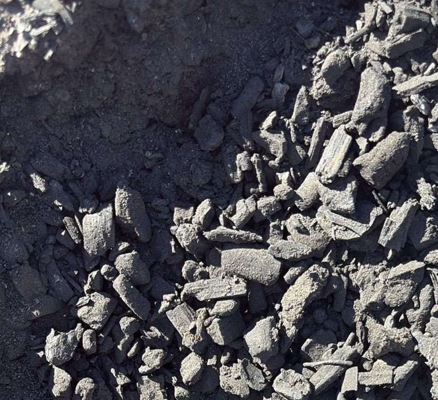 BioChar Soil Amendmant BioChar Soil Amendmant