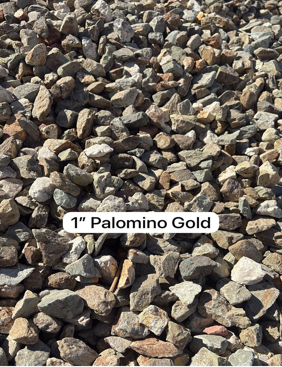 Palomino Gold