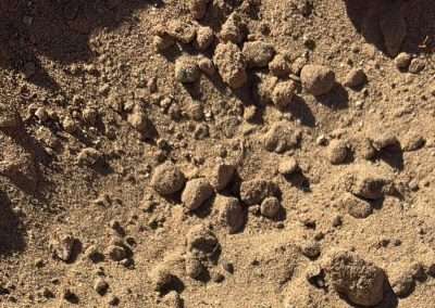 SCREENED SAND Soil