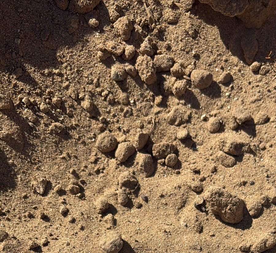 SCREENED SAND Soil SCREENED SAND Soil