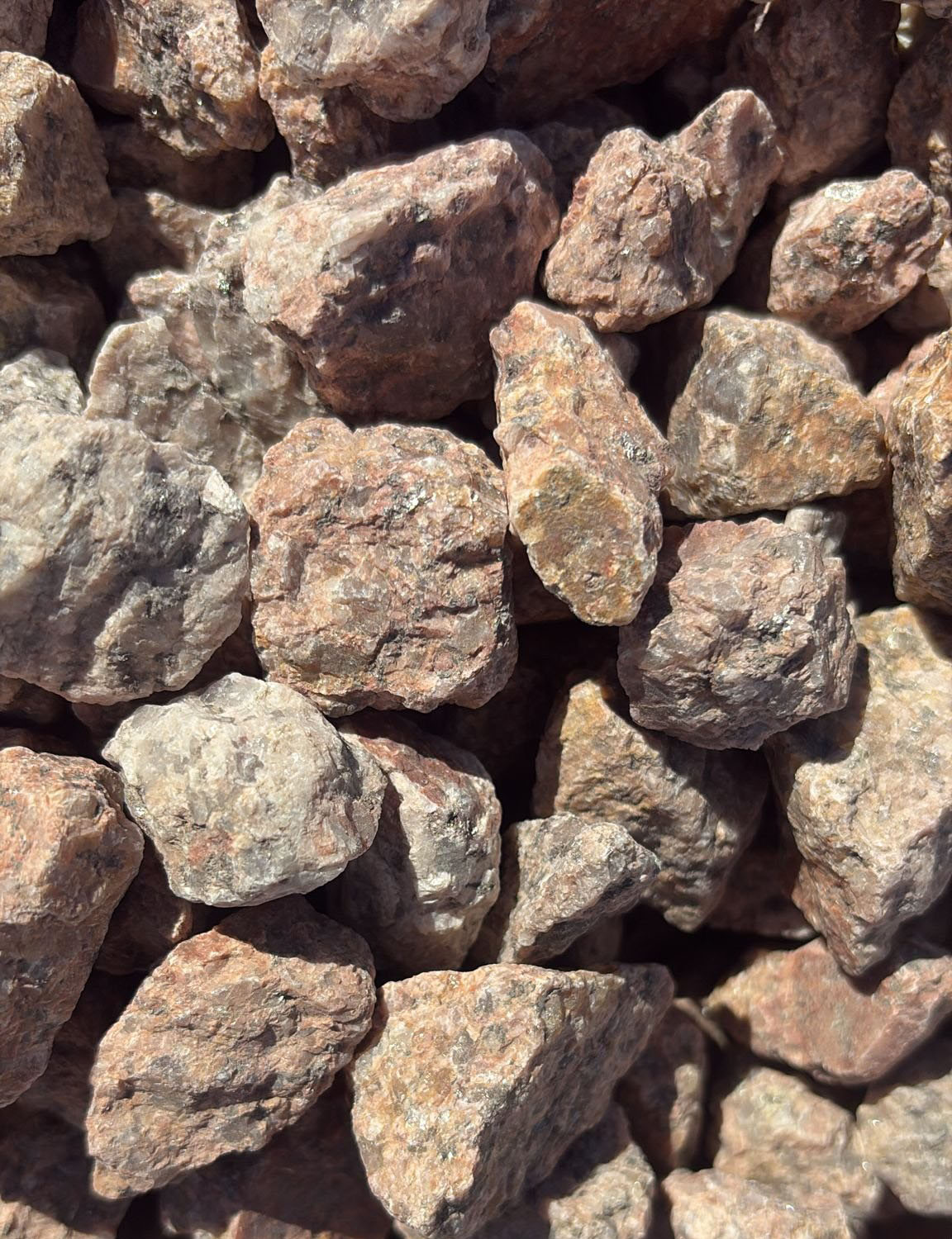 Yavapai Coral